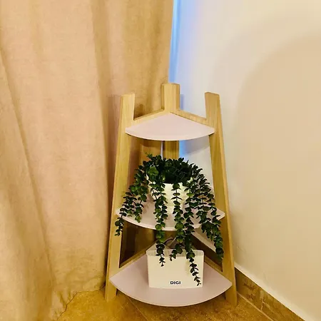 Arenas Del Coliseo Centro Parking Gratis Ferienhaus *